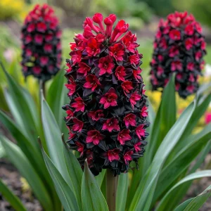 Гиацинт Джем Стоун купить по цене от 2099р. в интернет-магазине «Посадика» с доставкой почтой в в Лыткариное и по всей России – [изображение №1].