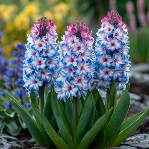 Гиацинт Пинк Мари купить по цене от 2099р. в интернет-магазине «Посадика» с доставкой почтой в в Лыткариное и по всей России – [изображение №1].