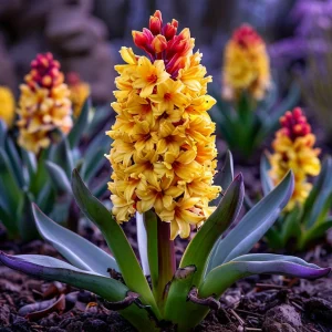 Гиацинт Миднайт Мистери купить по цене от 2099р. в интернет-магазине «Посадика» с доставкой почтой в в Лыткариное и по всей России – [изображение №1].