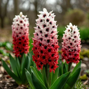 Гиацинт Скай Гарден купить по цене от 2099р. в интернет-магазине «Посадика» с доставкой почтой в в Лыткариное и по всей России – [изображение №1].